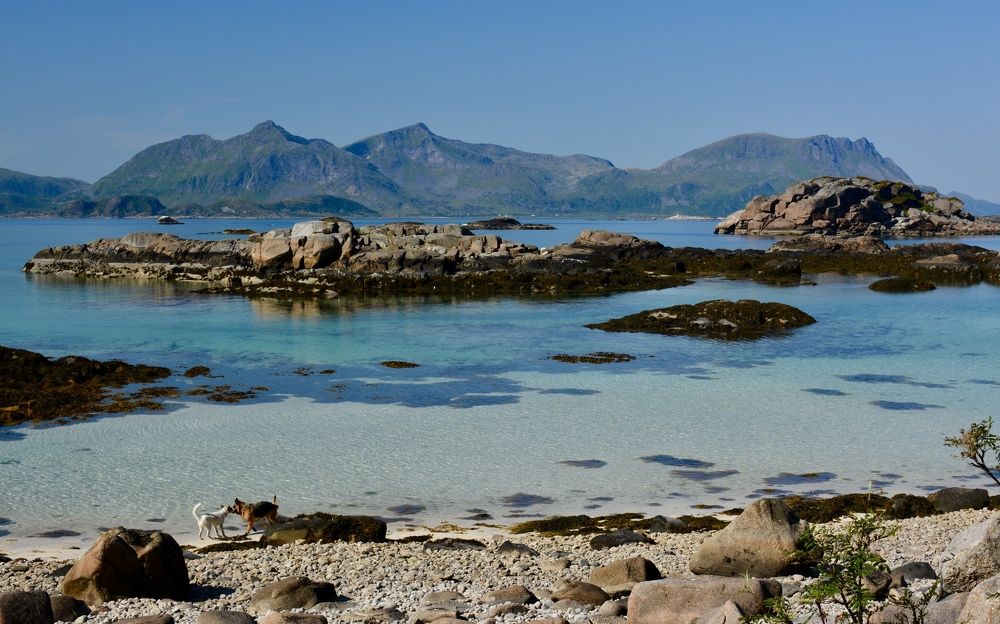 Photograph by Светлана Ткаченко