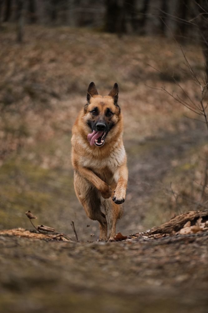 Photograph by Екатерина Кобальнова