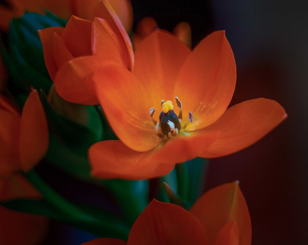 Фотография автора NIghtdream