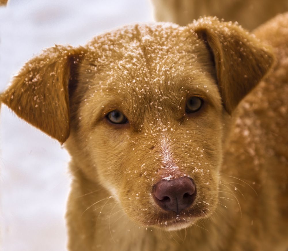 Ты мне друг или как...