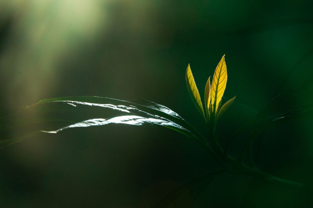 Фотография автора Jana Treija