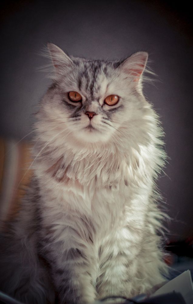Фотография автора Sergey Asn