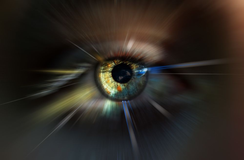 Photograph by Eduardo Modolo