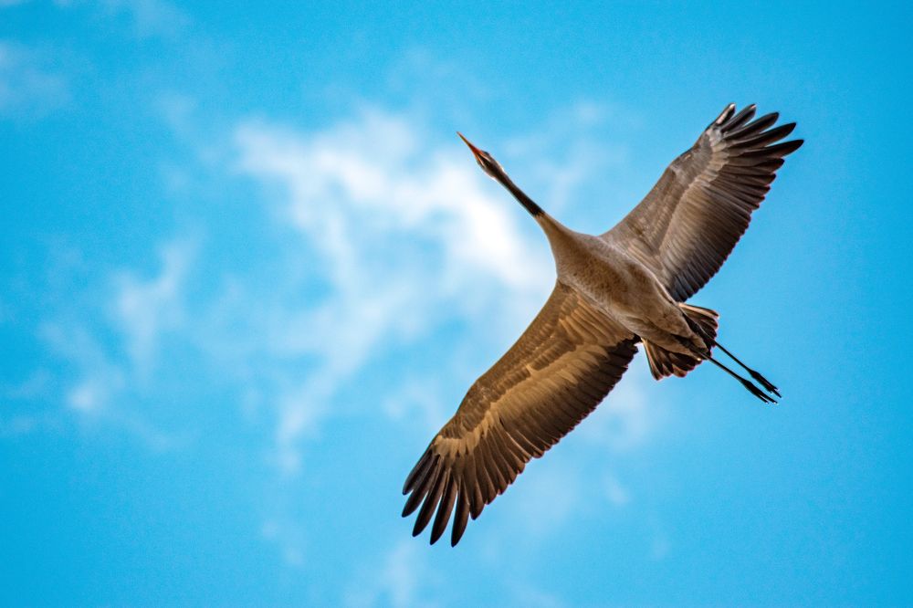 Photograph by Kamil Stępień