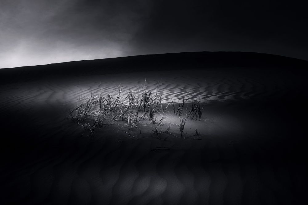 Photograph by hussein