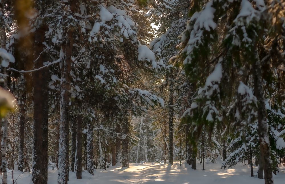 Весна пришла !!!