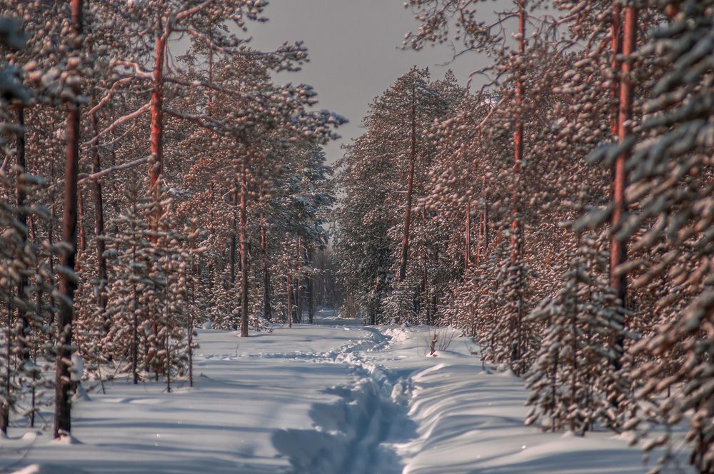 Photograph by Александр Бакин