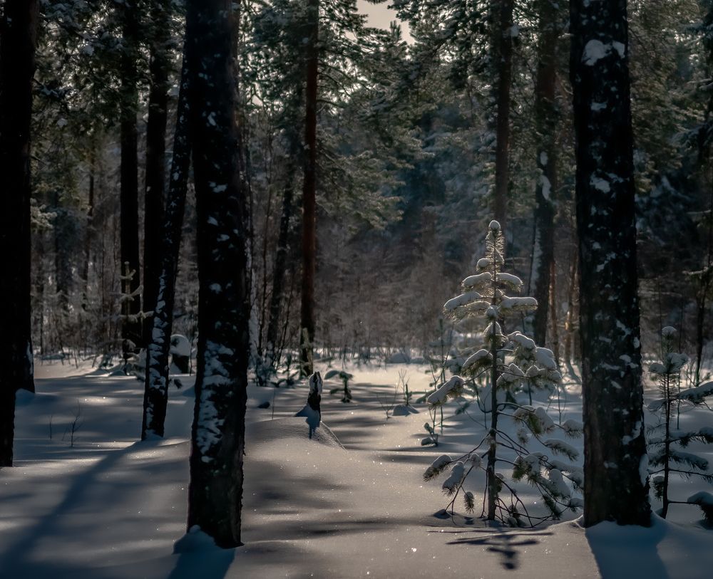 Photograph by Александр Бакин