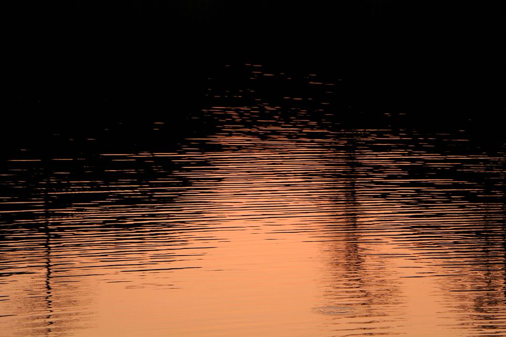 Photograph by Maheen Mahfin Neha