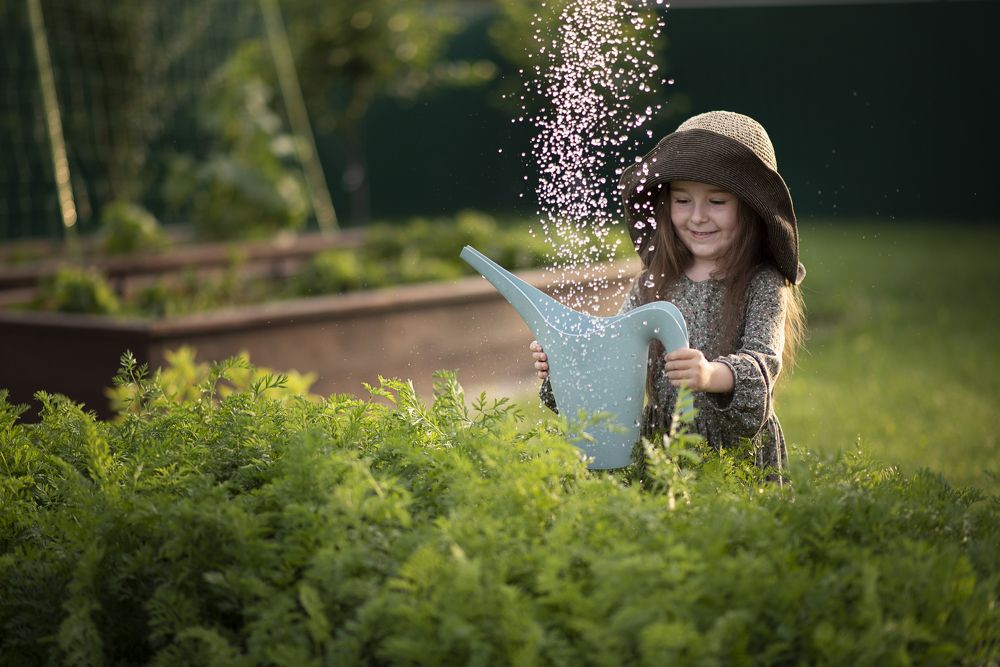 Photograph by Светлана Королева