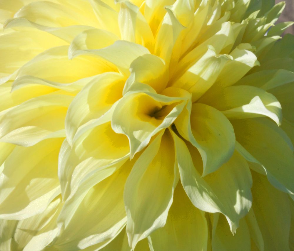 Photograph by Мария Самоловова