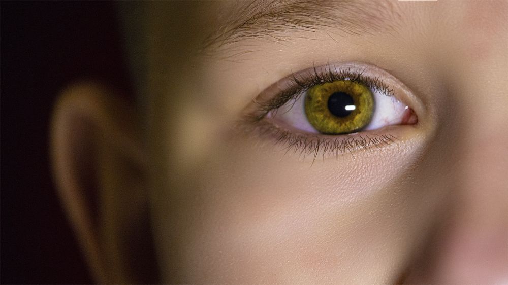 Photograph by Максим Пинчук