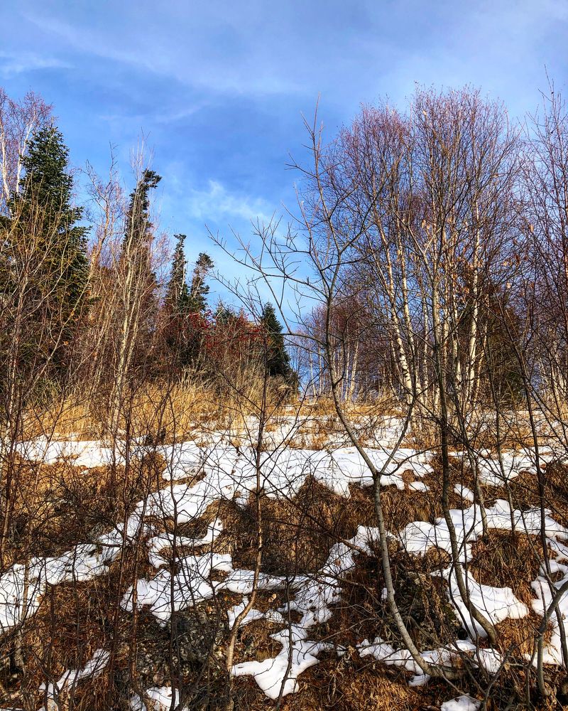 Photograph by Евгения Куристова