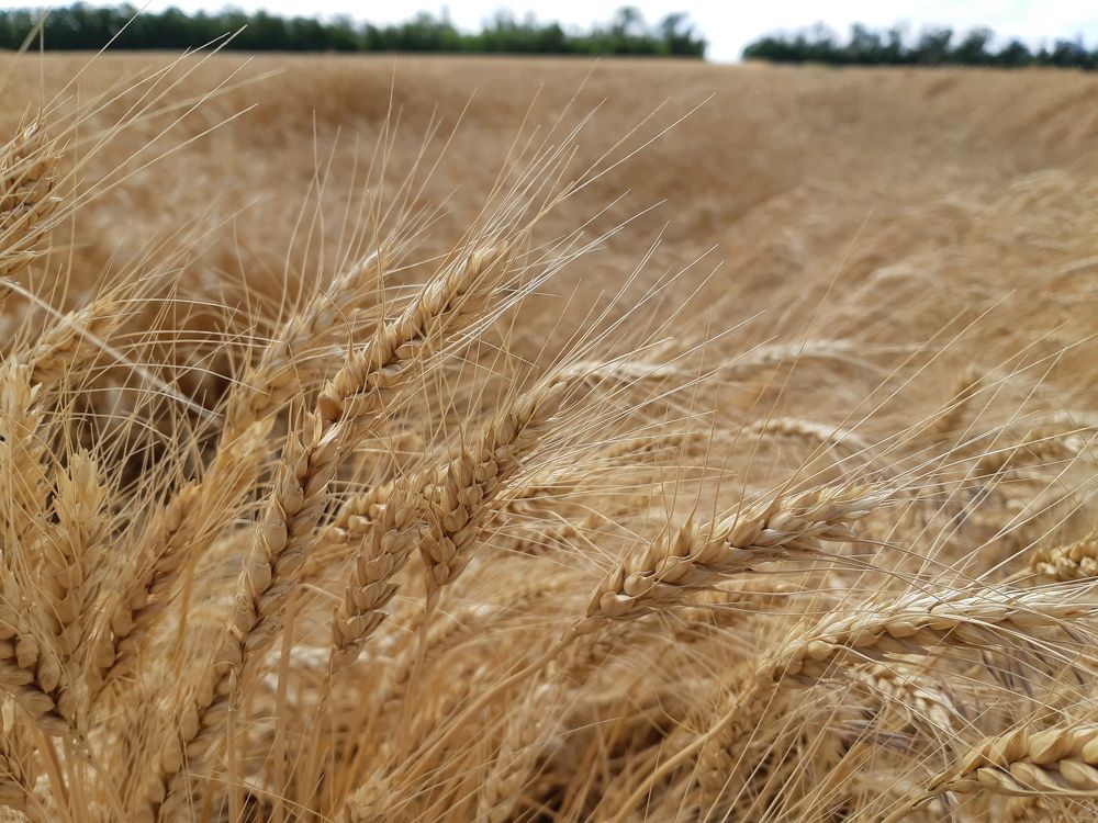 Photograph by ИГОРЬ