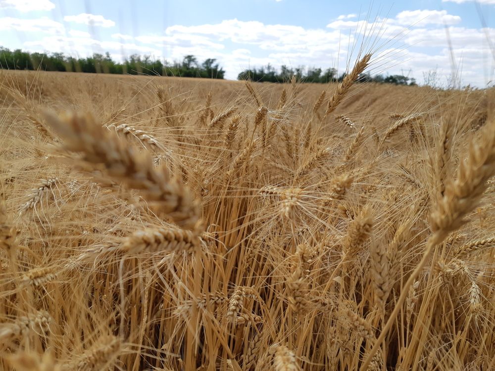 Photograph by ИГОРЬ