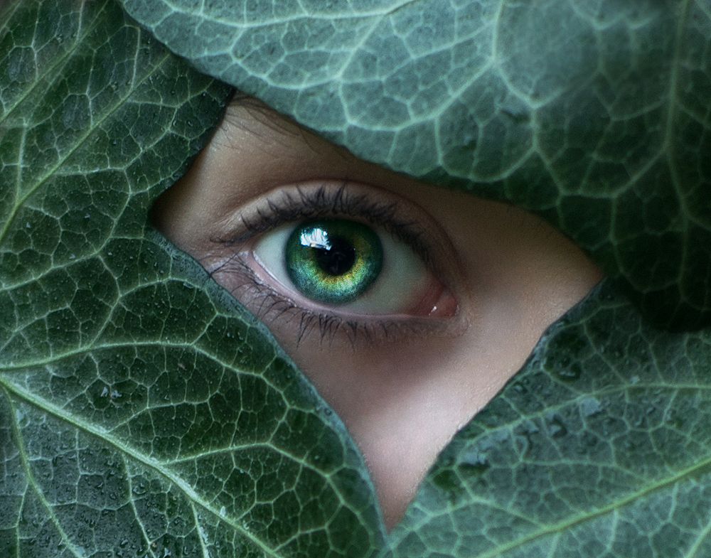 Photograph by Евгения Куристова