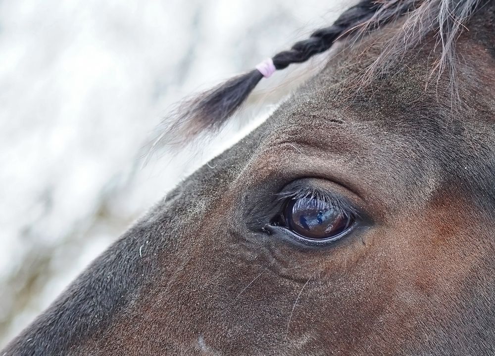 Photograph by Ольга Мендоса