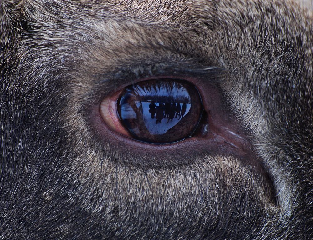 Photograph by Ольга Мендоса