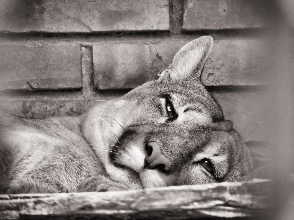 Photograph by Paulo Cesar Soares