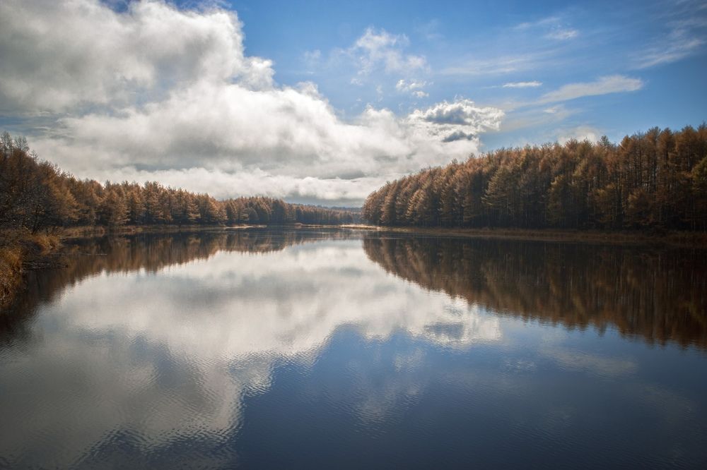 Photograph by Александр Салякаев