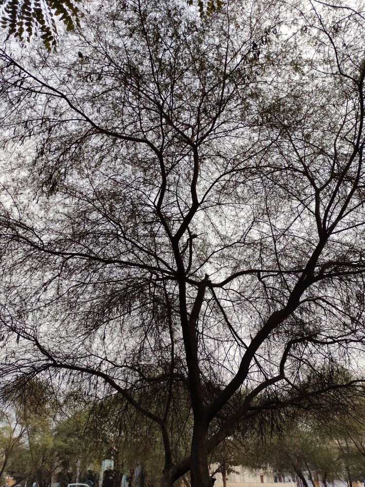 Photo #5985007