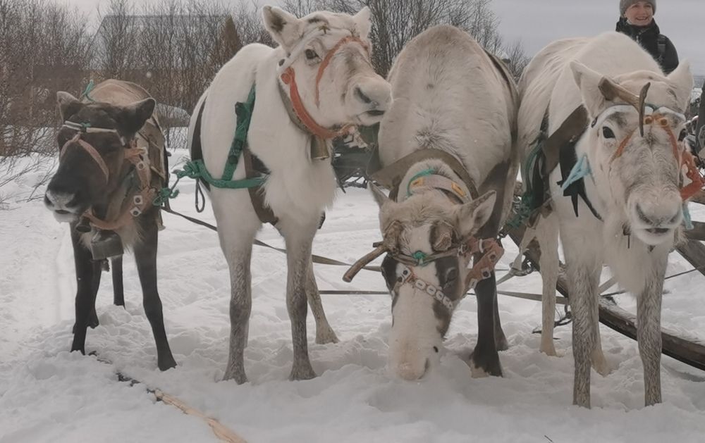 Photograph by Елена