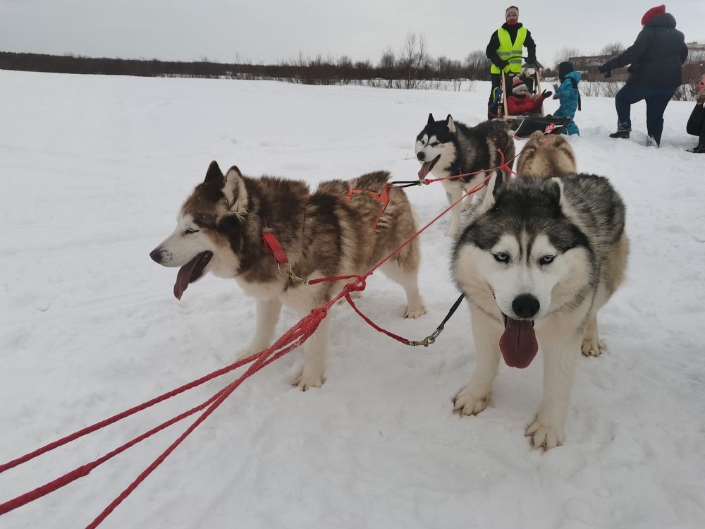 Photograph by Елена