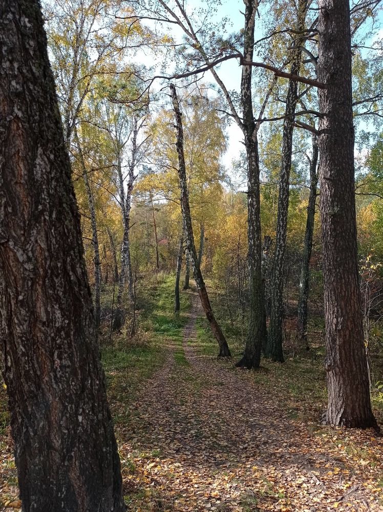 Photograph by Станислав Иванов