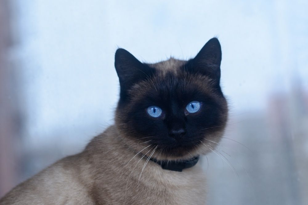 Photograph by Юлия Марфонова