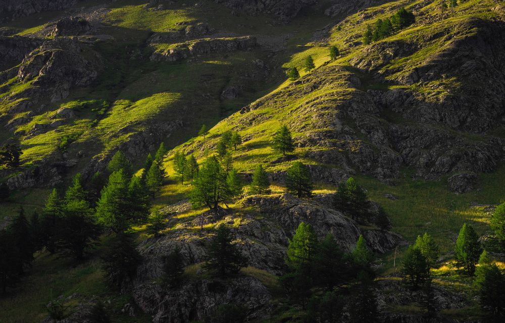 Photograph by Николай Пузанкевич