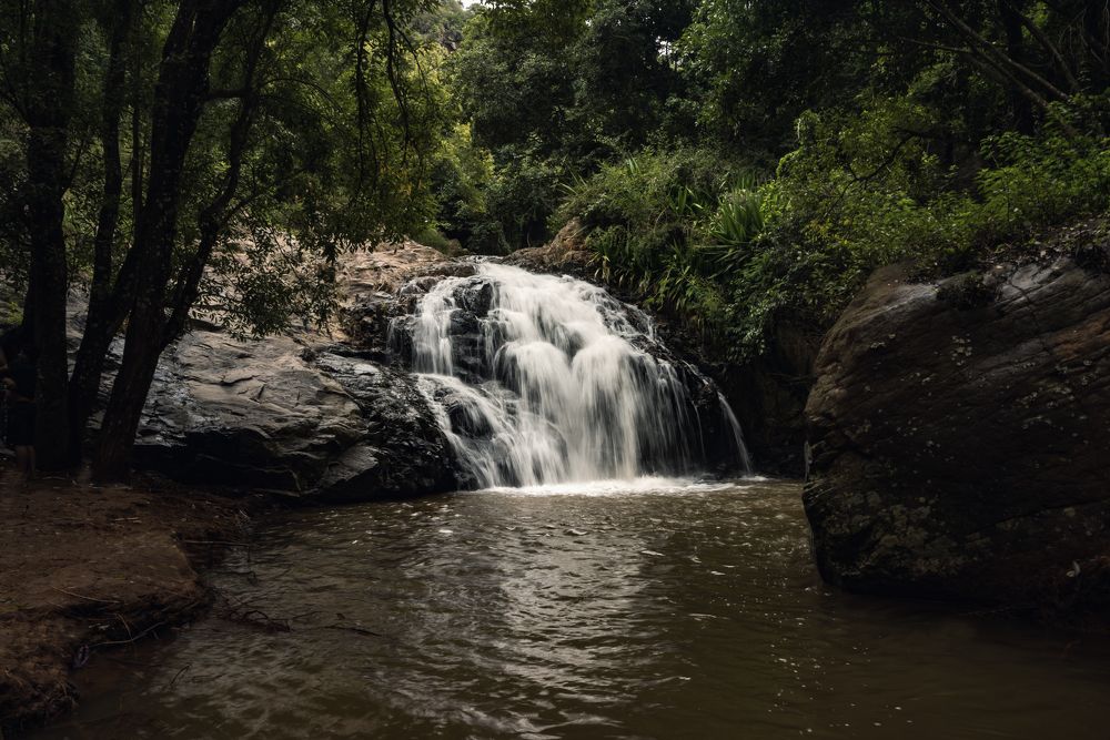 Photograph by Rahul Singi