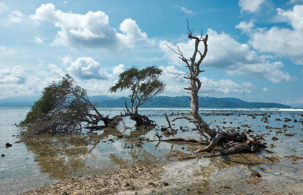 Photograph by Денис Жуков