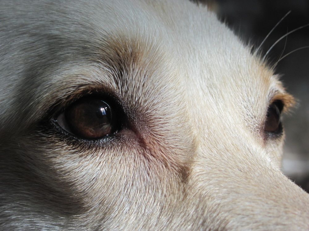 Photograph by Юлия