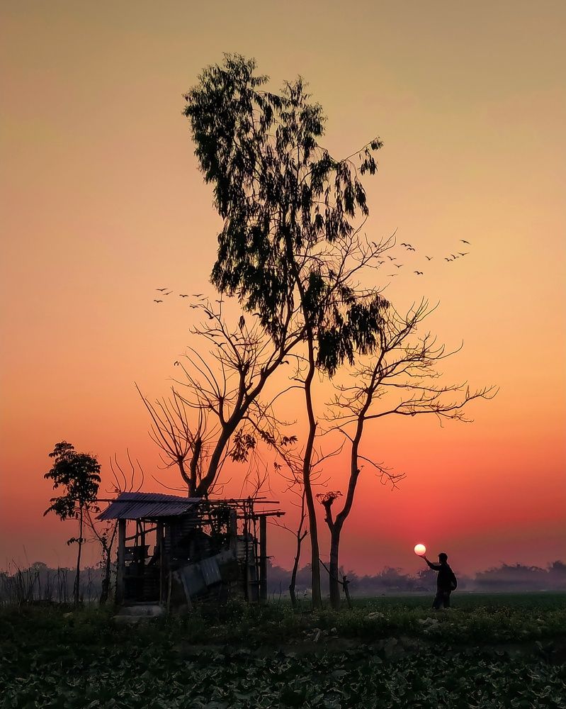 Фотография автора PRADIPTAMOY PAUL