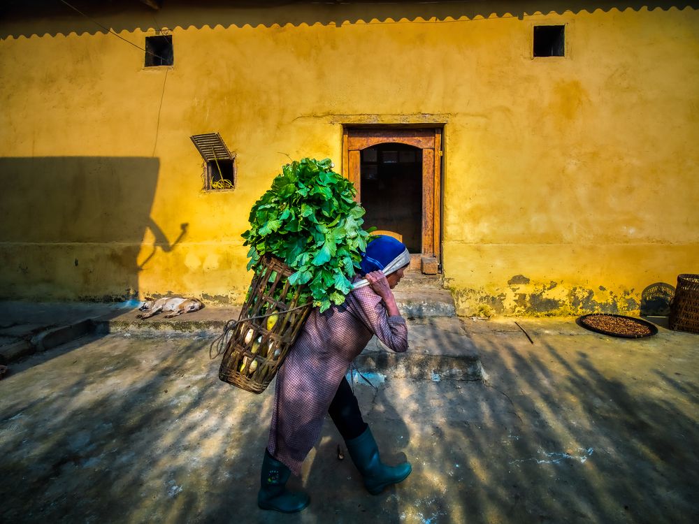 Photograph by mk285vn