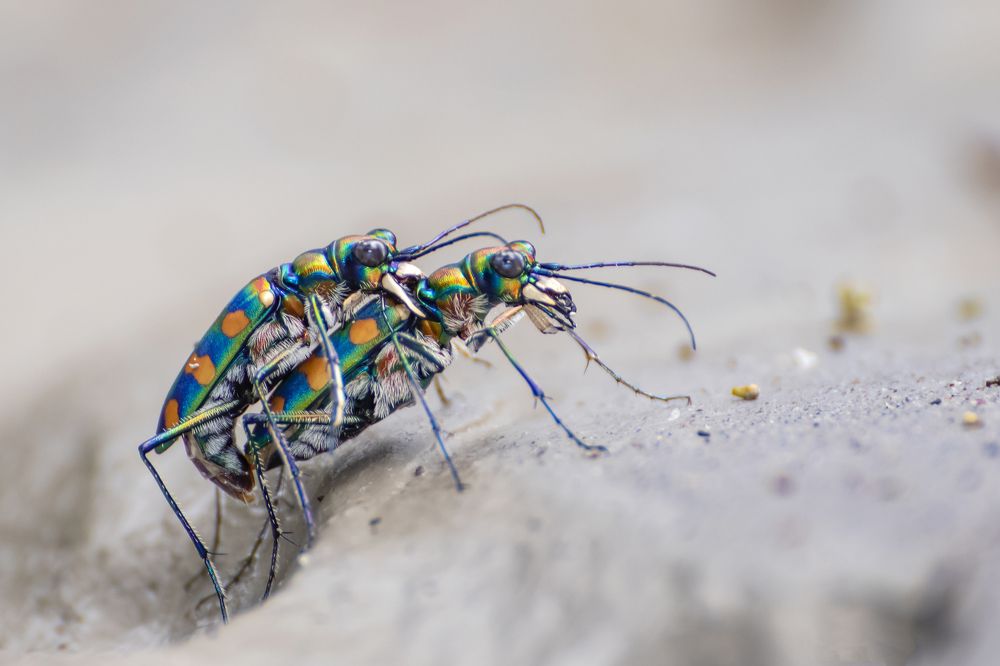 Photograph by saikat chanda