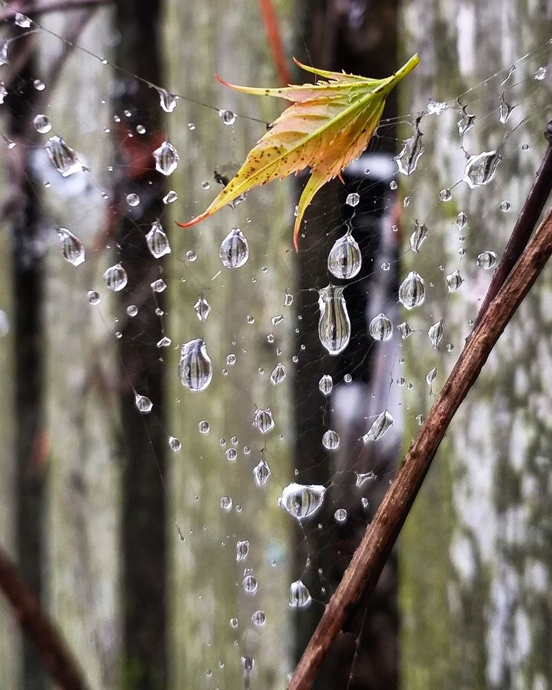 Photograph by Inna Kabanovich