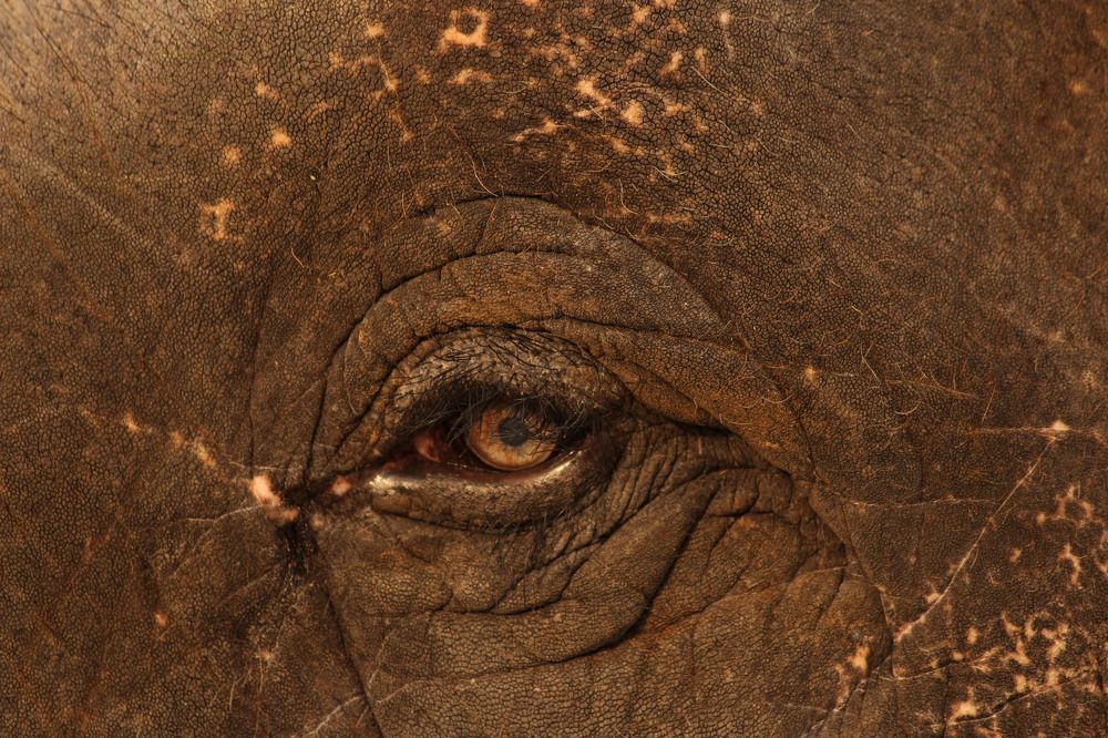 Photograph by shashiranjan prakash