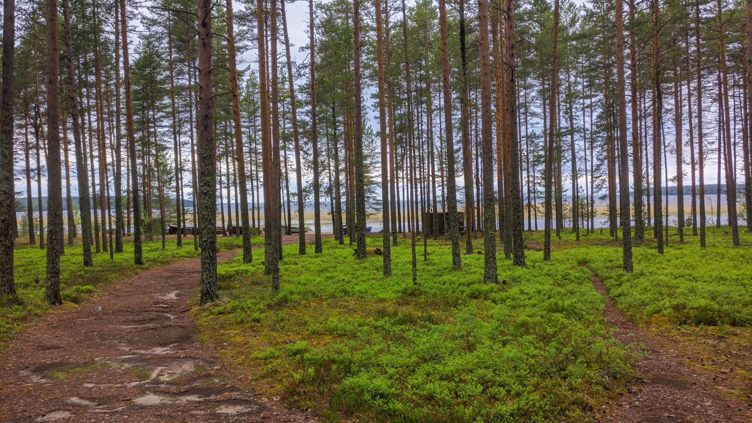 Photo #5985651