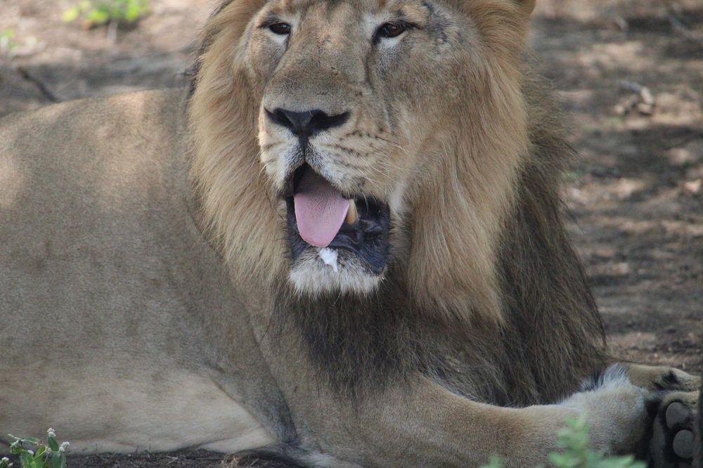 Photograph by Vishwa Trivedi