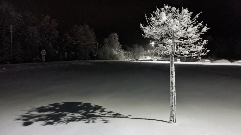 Photo #5985703