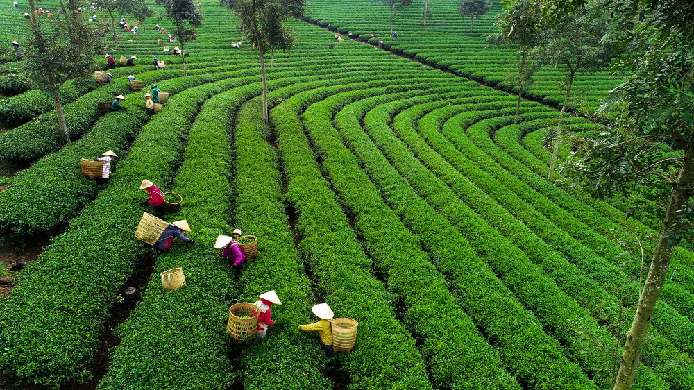 Photograph by Đạt Phạm Tiến