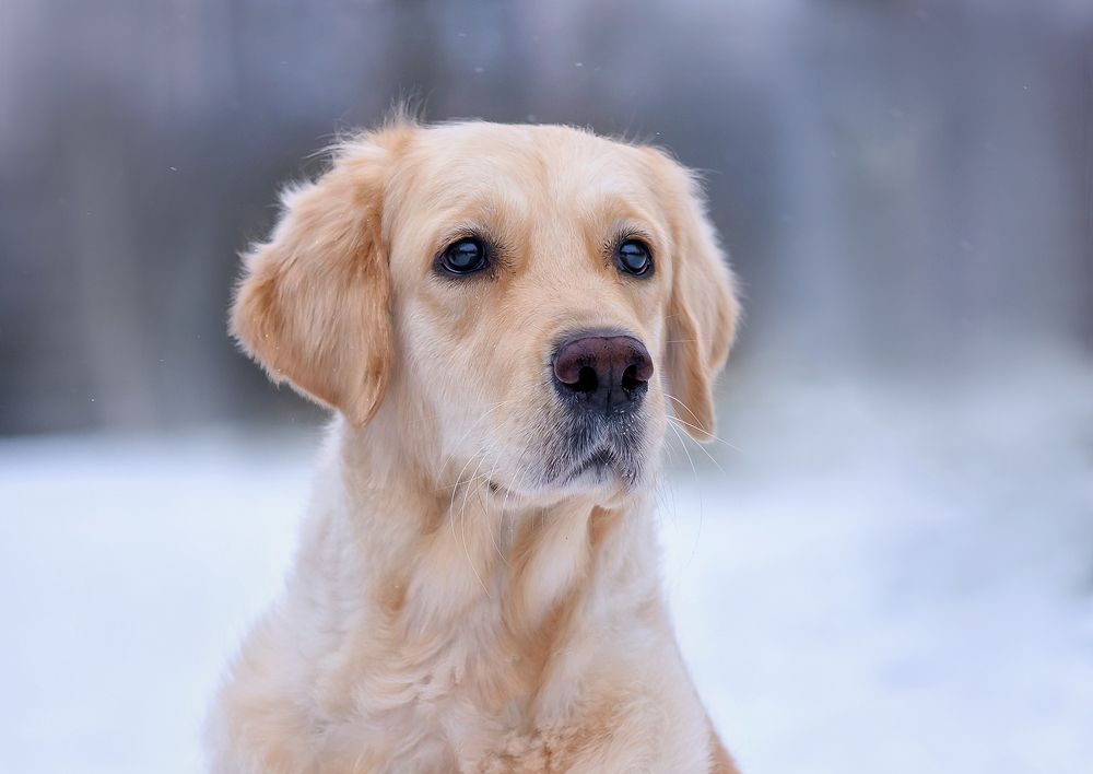 Photograph by Виктория Дубровская