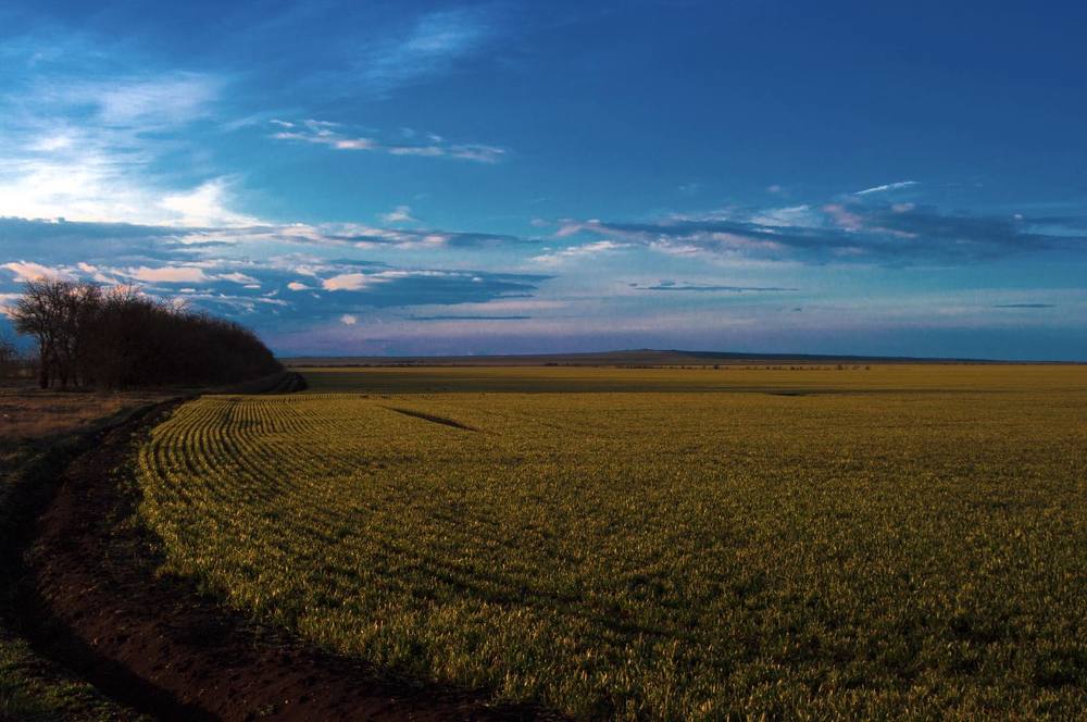 Photograph by Евгений Зайцев