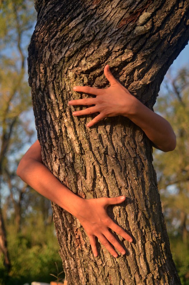 Photograph by Charo Morelli