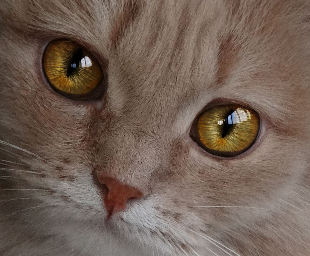 Photograph by Светлана Лехмус