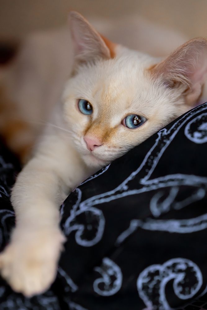 Photograph by Юлия Полянцева