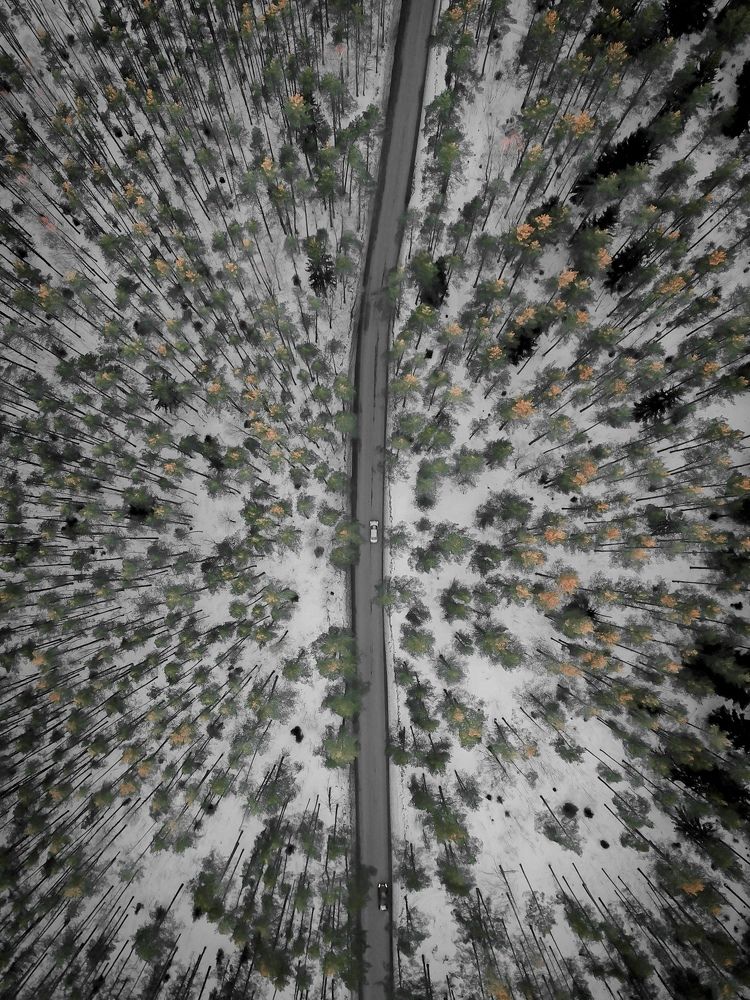 Photograph by Дмитрий Копылов