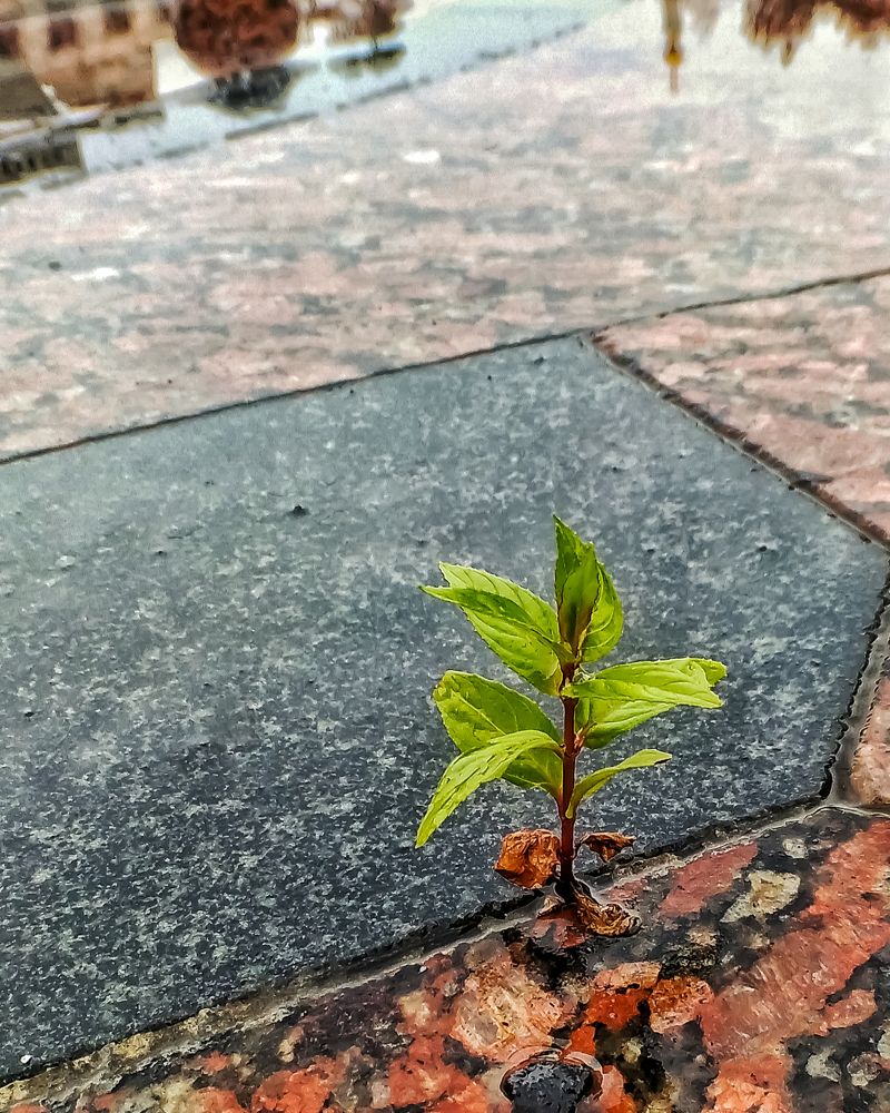 Photograph by Алексей Копылов