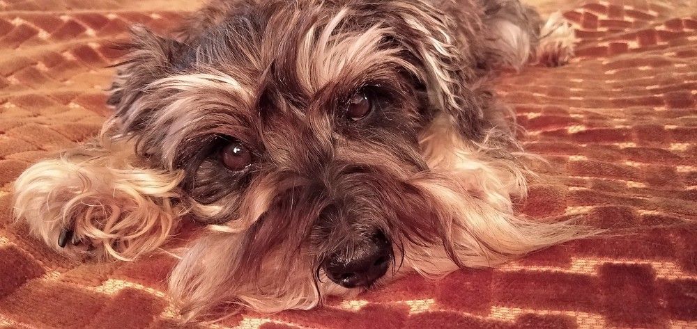 Photograph by Юрий Яковлев